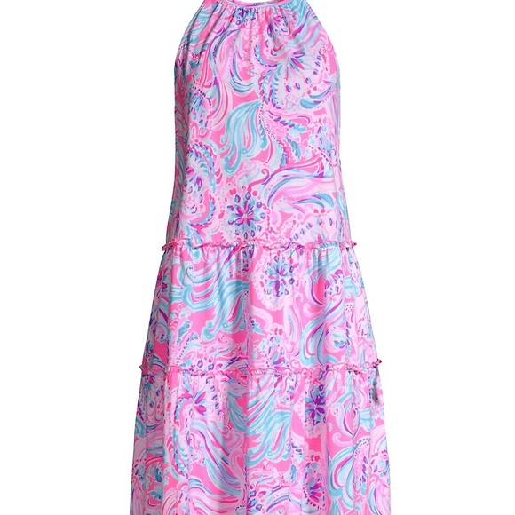 Lilly Pulitzer Evalyn Dress, XL - Picture 1 of 10